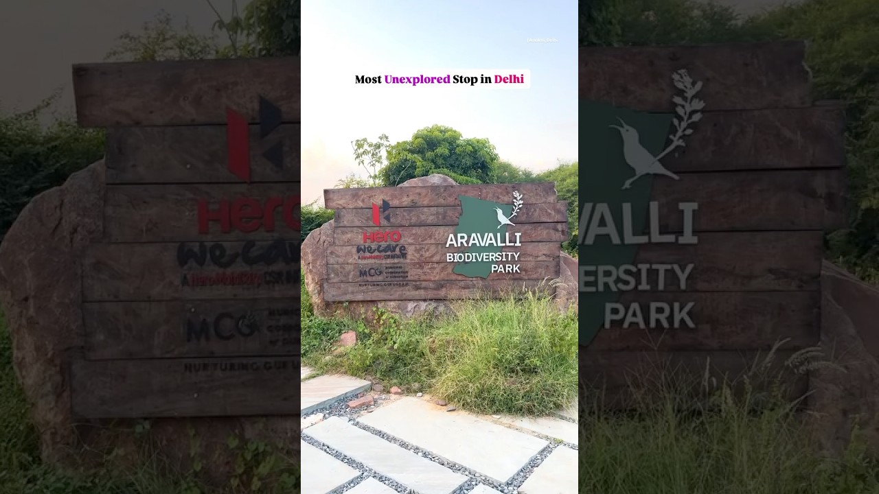 📍Aravalli Biodiversity Park, GurugramNearest Metro Station: Guru Dronacharya
