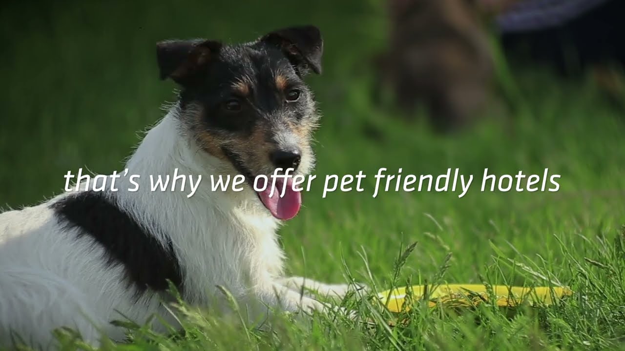 Pet Friendly Hotels
