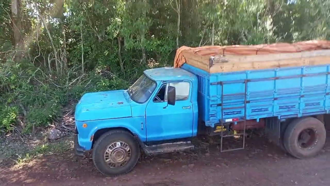 Continuação da colheita e pran  tio de milho 🌽🌽