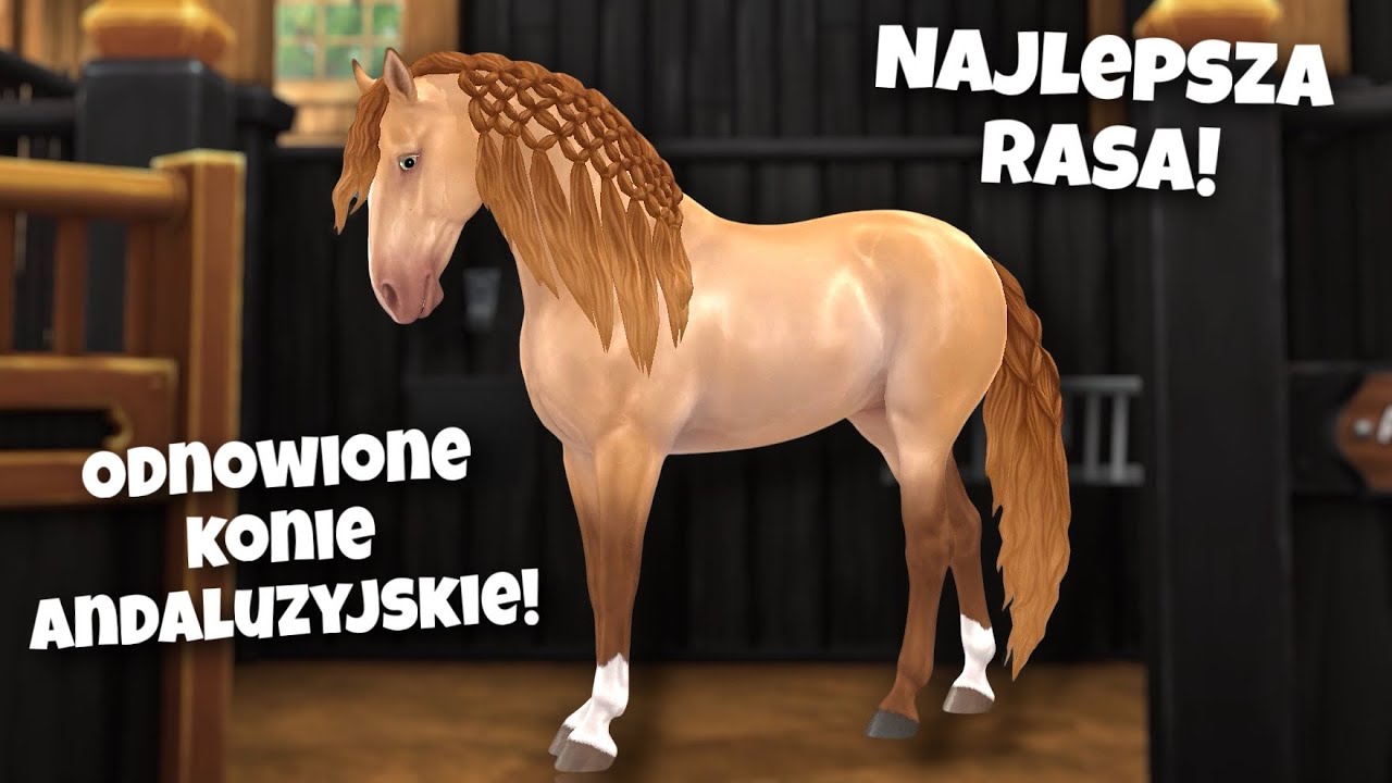 NOWE KONIE ANDALUZYJSKIE W STAR STABLE!