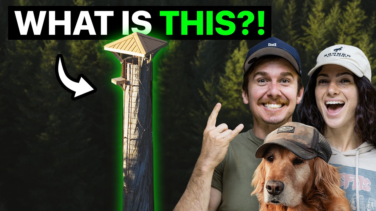 What's Actually on Our 60-Acre Off-Grid Ranch? (In-Depth Tour)