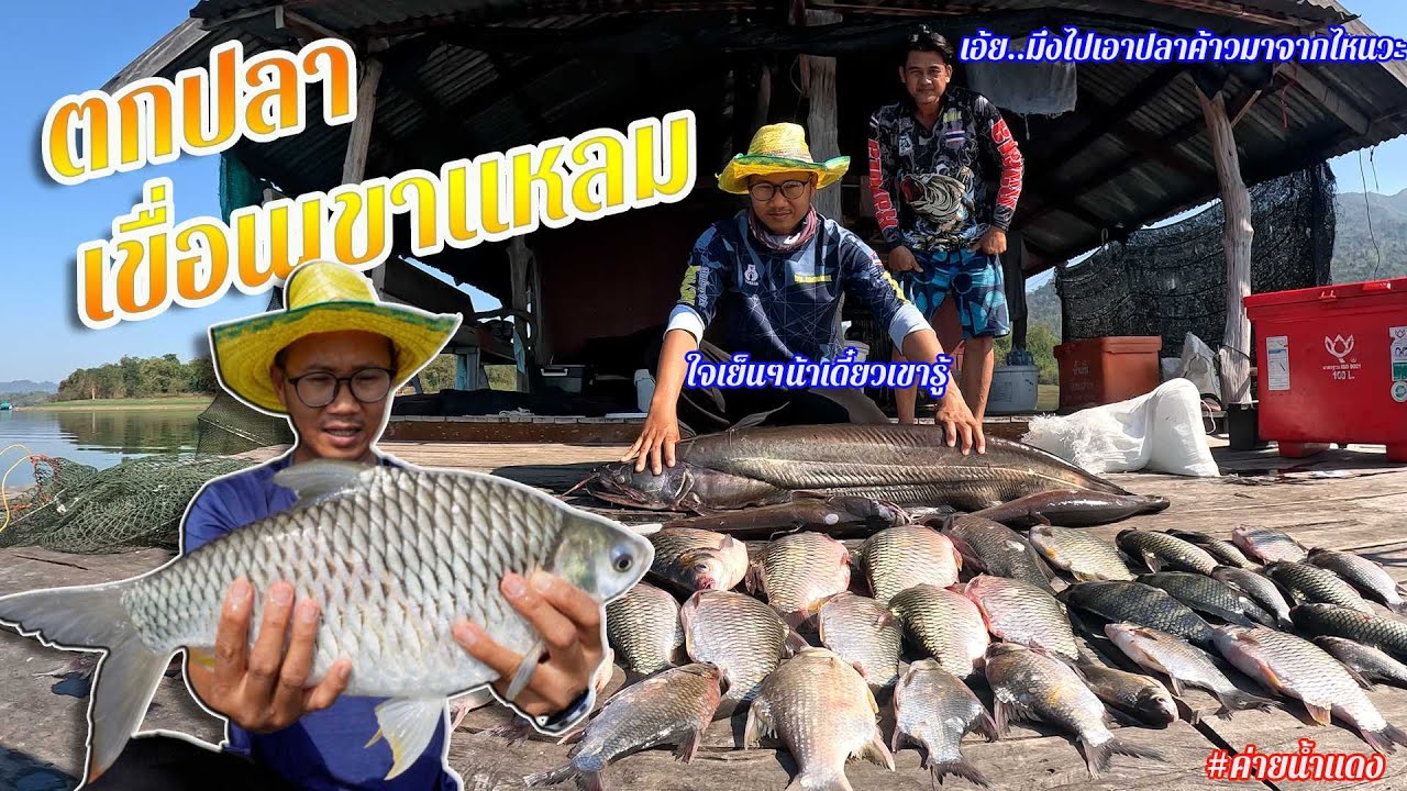 ตกปลาเขื่อนเขาแหลม