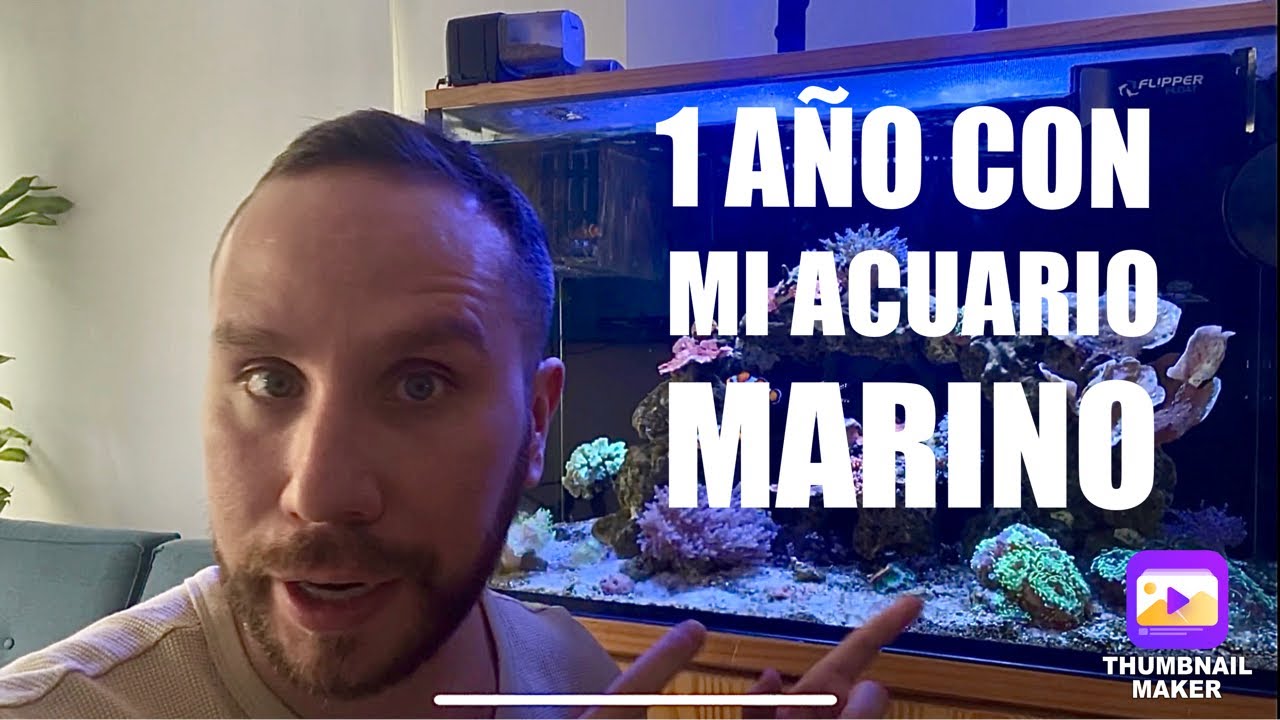1 año con mi nueva pecera marina de 220 litros.