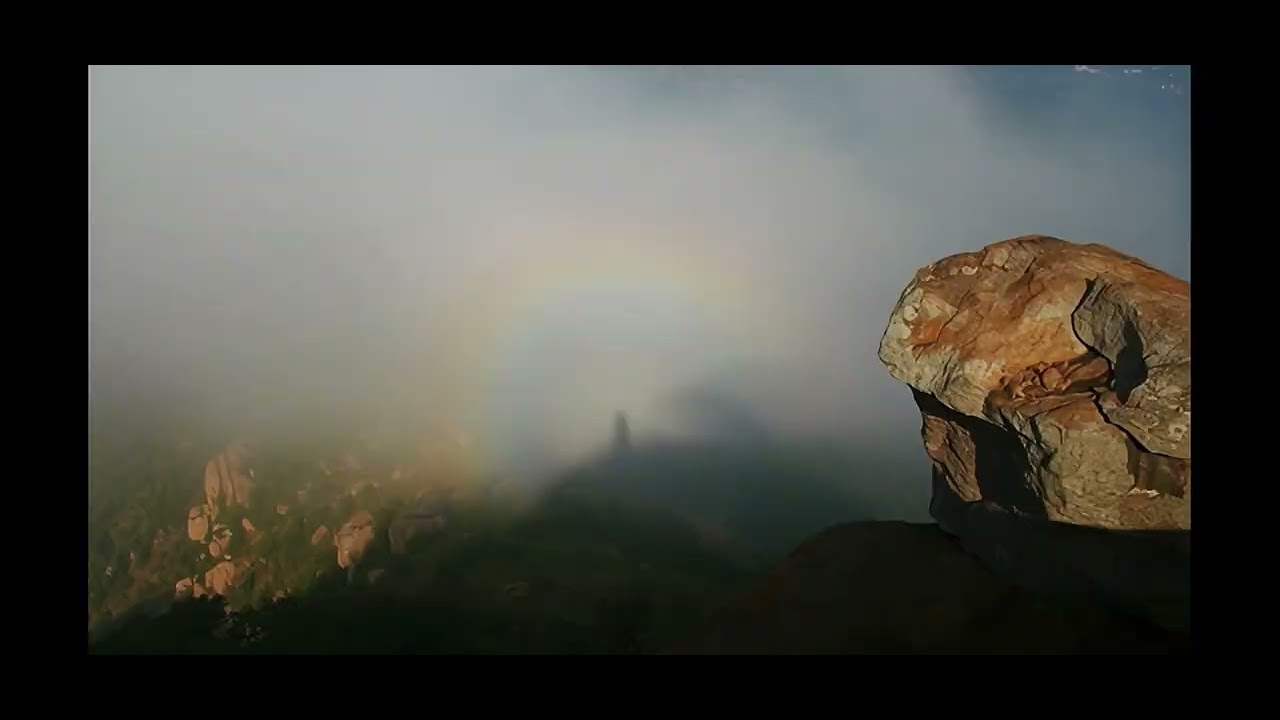 20 января 2026 г.