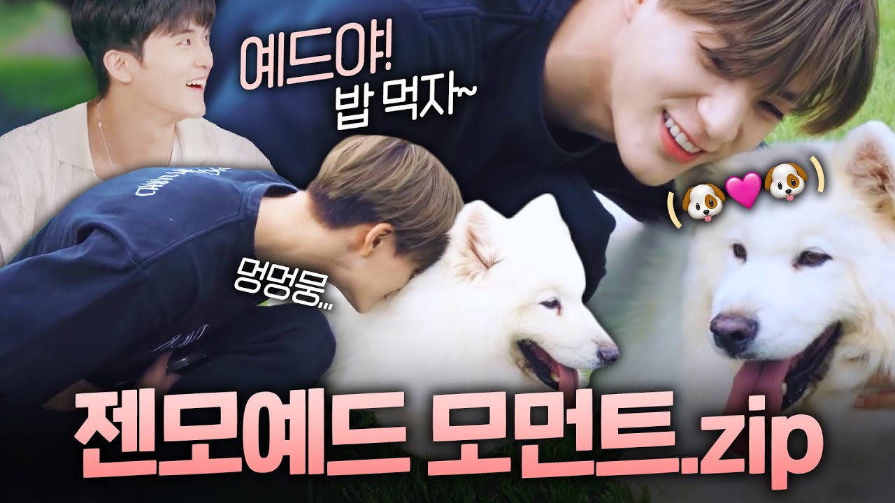 [NCT DREAM] 사모예드가 제노고 제노가 사모예드야