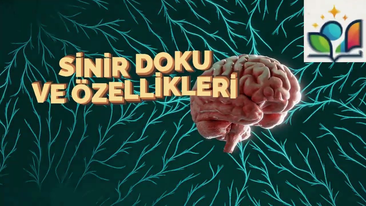 AYT-SİNİR DOKU
