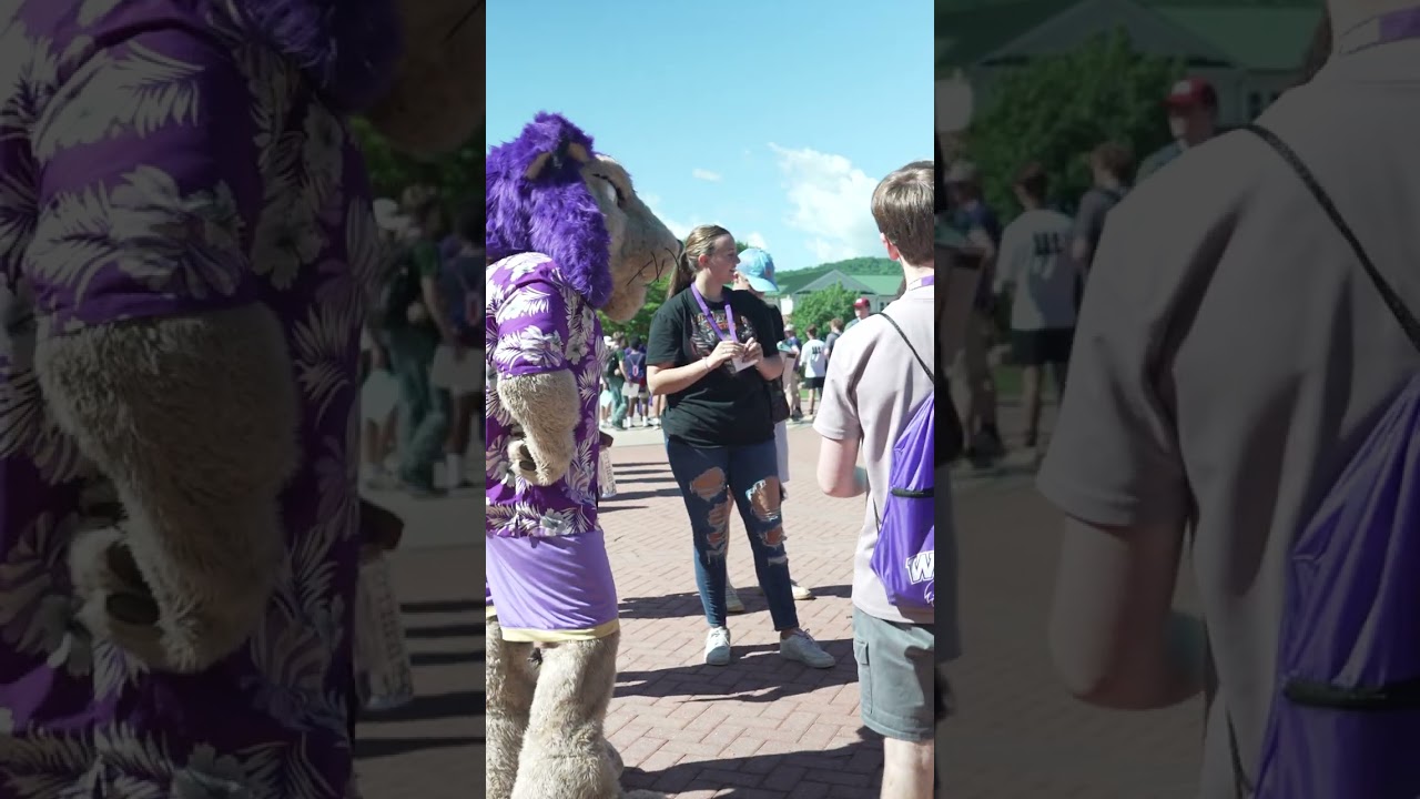 Paws stopped by orientation to welcome our new students! #wcu #gocats