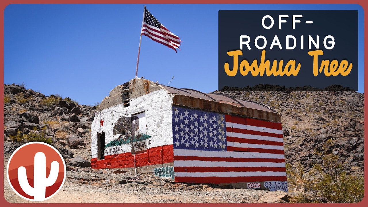 Old Dale Road in Joshua Tree National Park | A Desert Adventure Awaits