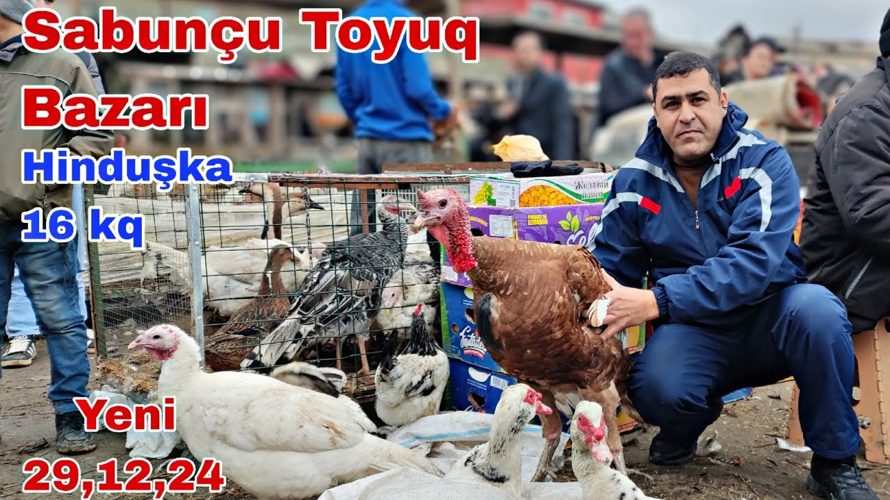 Sabunçu Toyuq Bazarı 29 dekabr 2024 @mubarizemintv2271