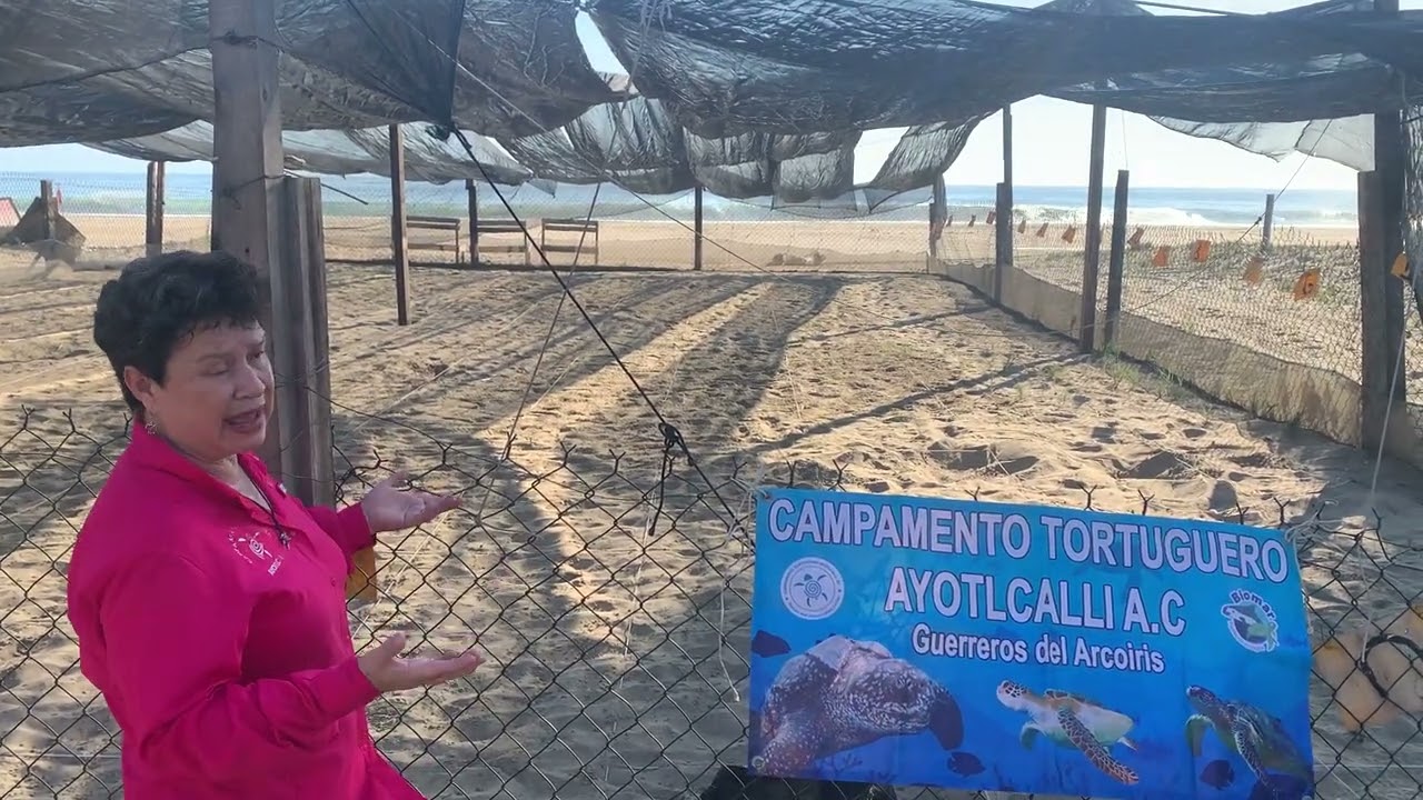 Interview with Damaris Marin Smith of Ayotlcalli