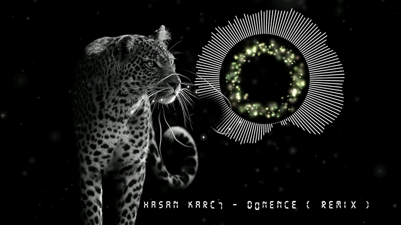 Hasan Karcı - Dönence ( Remix )