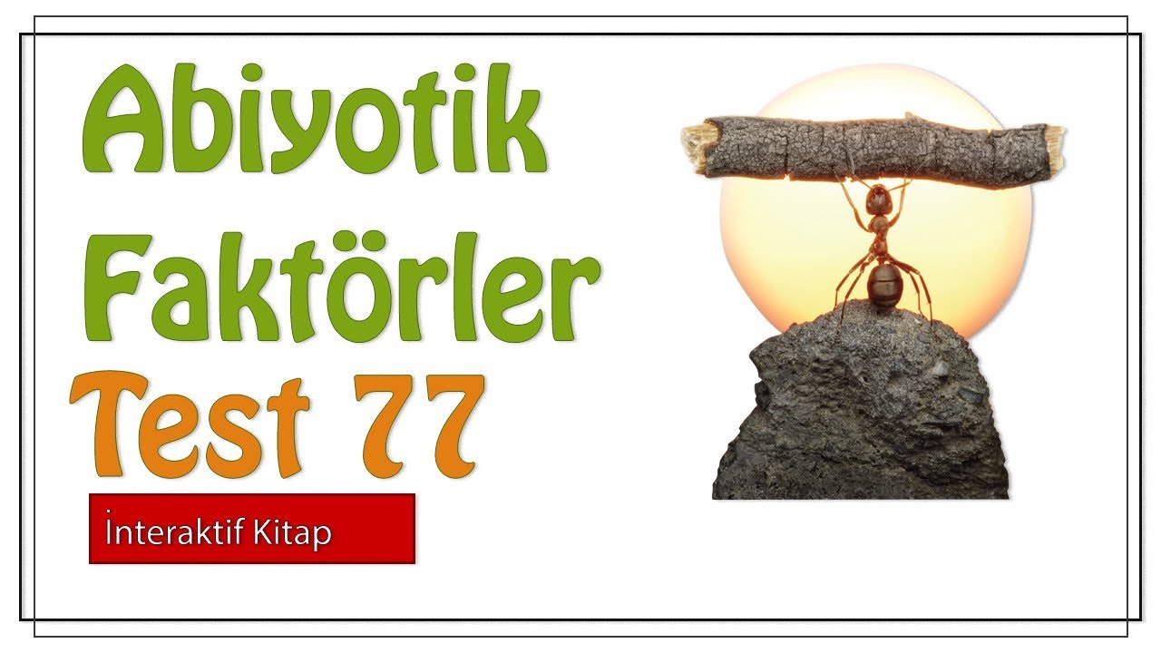 Test 77 #sayfa173