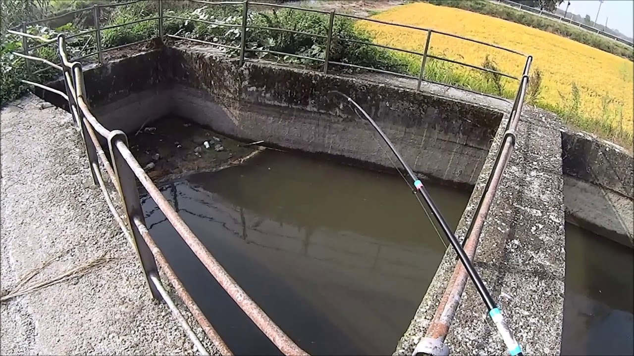 Il siluro nella tomba