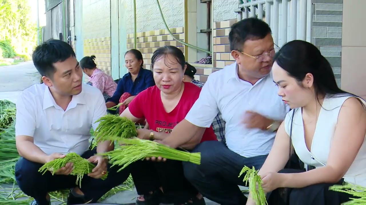 Quy trình nấu rượu truyền thống