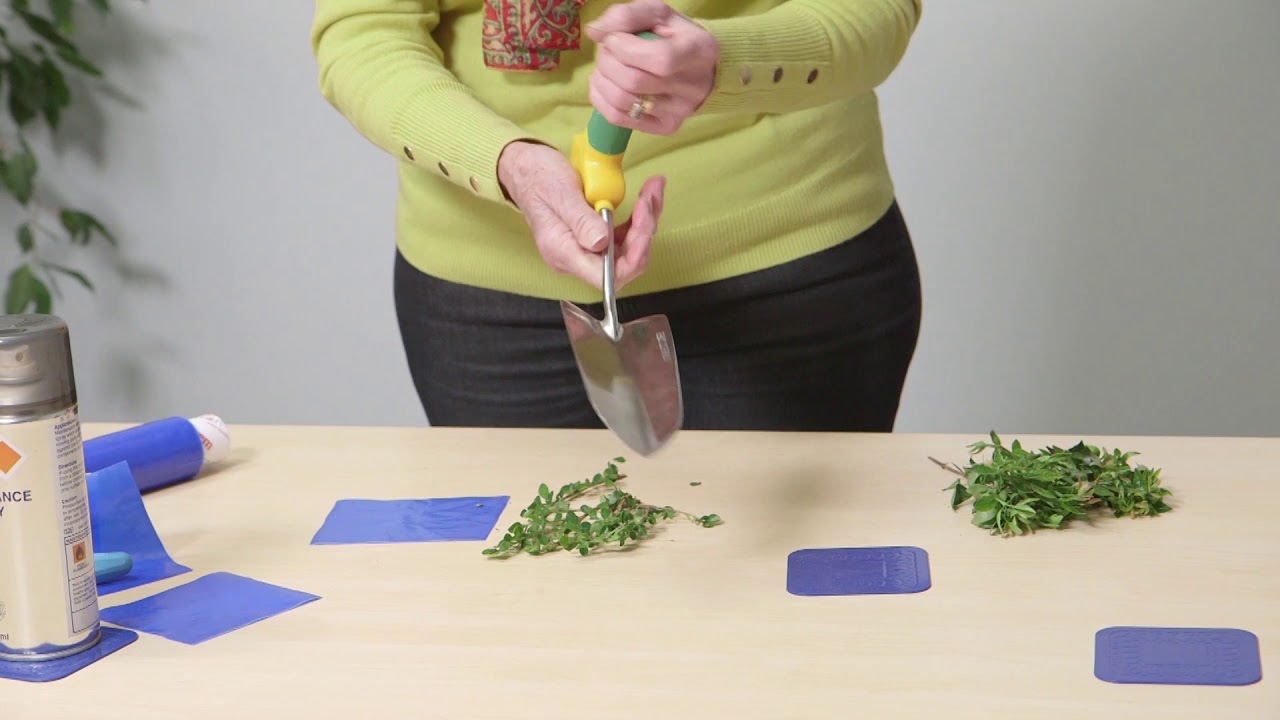 House and Garden Aids to help with hand osteoarthritis