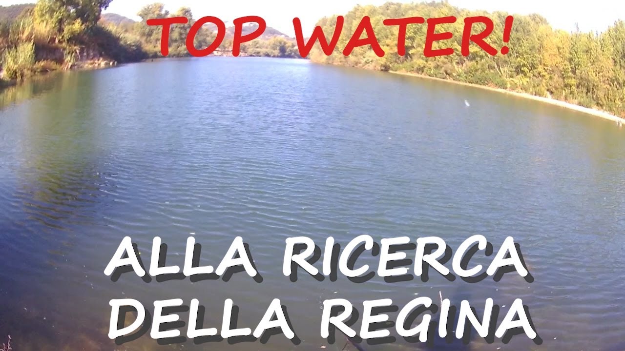 Top Water! Alla ricerca della Regina! Attacchi in LIVE!