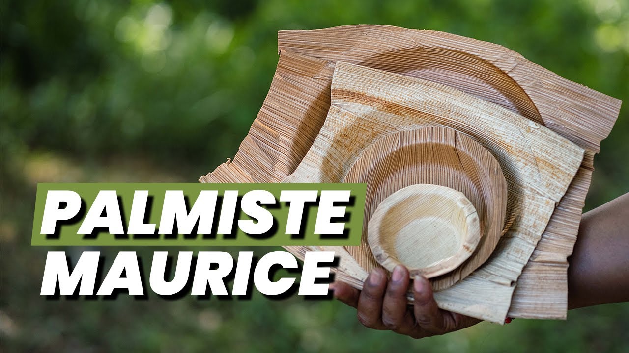 MAURICE - Les assiettes biodégradables en feuilles de palmiste de Francesca