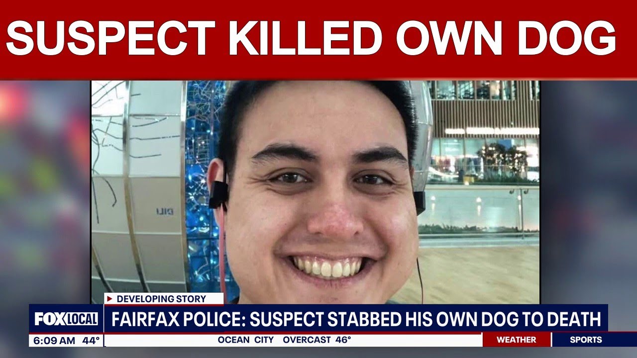 Dog fatally stabbed on I 495 was the suspect’s, police say | FOX 5 AT 6AM
