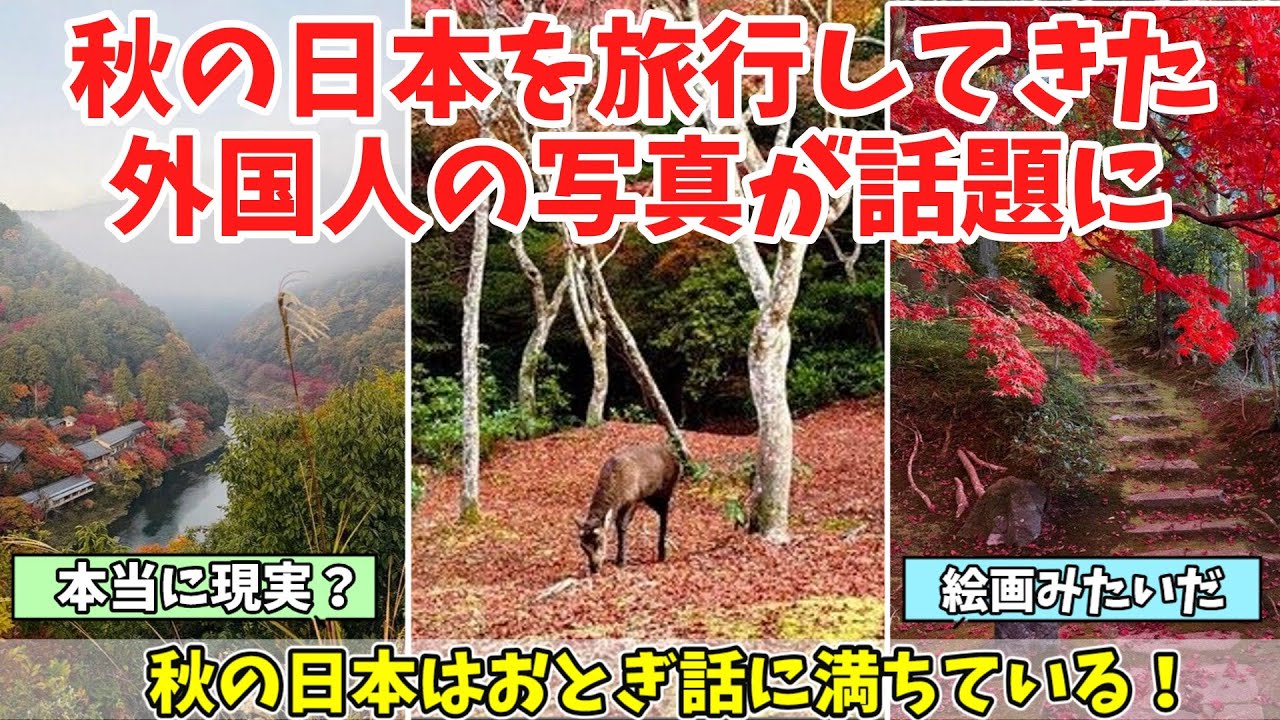 【海外の反応】「ファンタジーの世界じゃん！」紅葉シーズンに日本を旅行してきた外国人の写真が海外で話題に