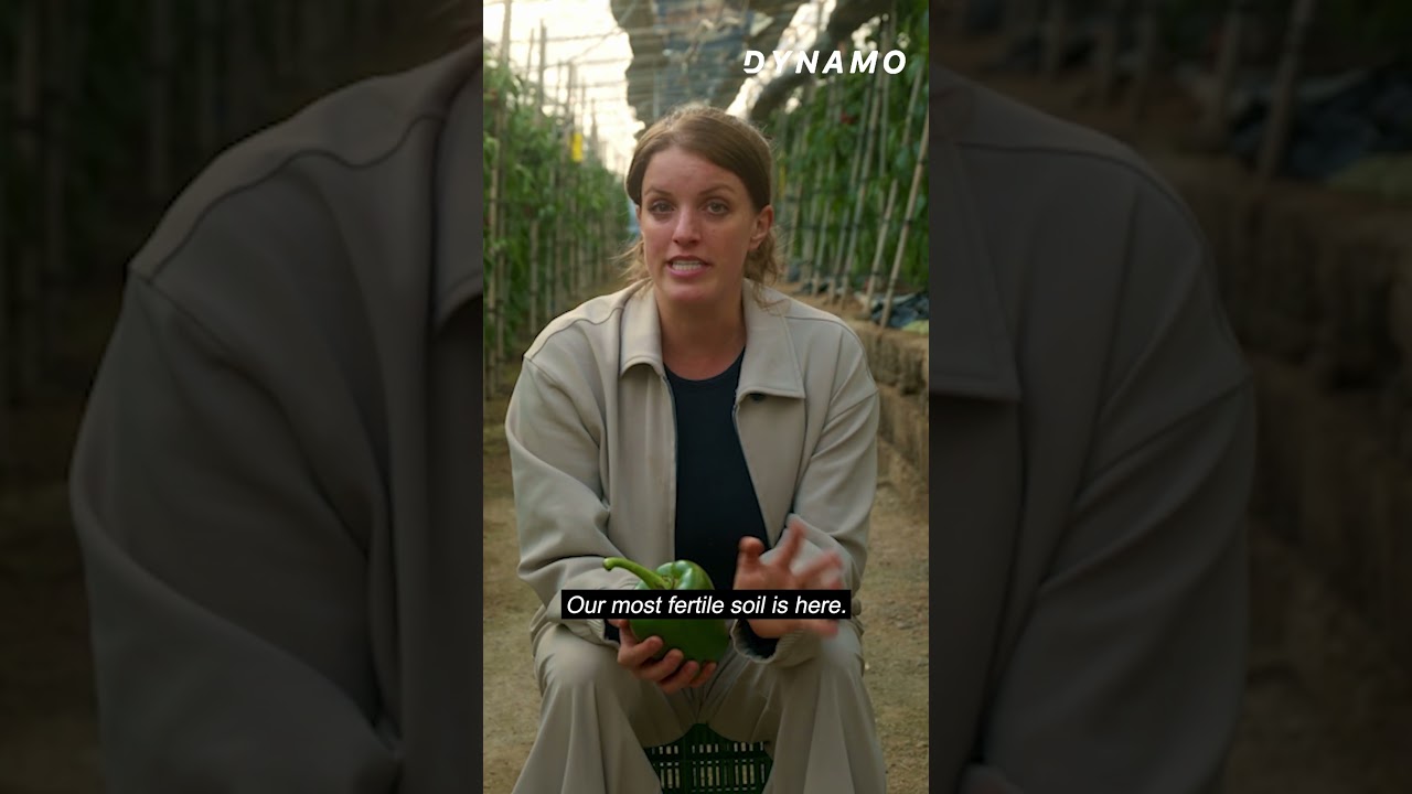 Dlaczego Stany Zjednoczone muszą importować warzywa, mimo że są one uprawiane na farmach