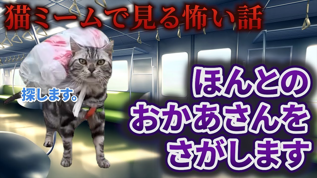 【猫ミーム】×【怖い話】ほんとのおかあさんをさがします#猫マニ #怖い話