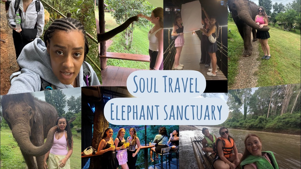We Stayed in an Elephant Bungalow | Elephant Wake up | Risky Bamboo Rafting