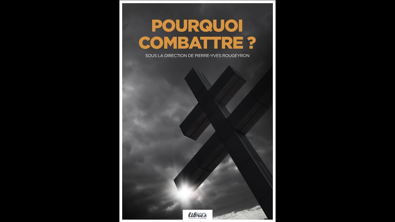 Pierre-Yves Rougeyron : Le Grand Entretien d'avril-mai 2019 - partie 2