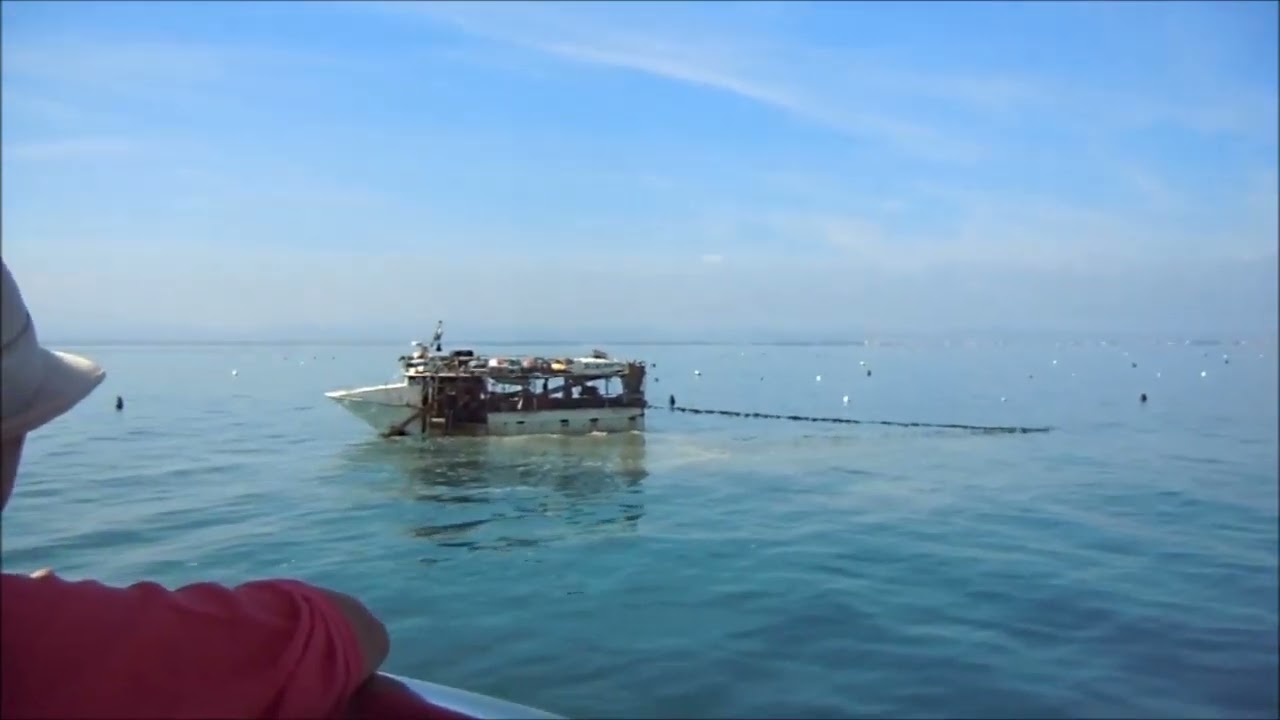 Gita con il battello, allevamento cozze di Bellaria Igea Marina