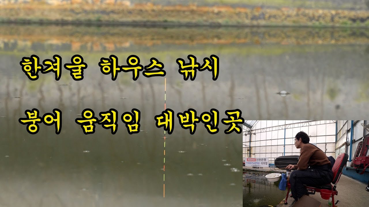 한겨울 붕어 입질이 활발한 삽교천 낚시터