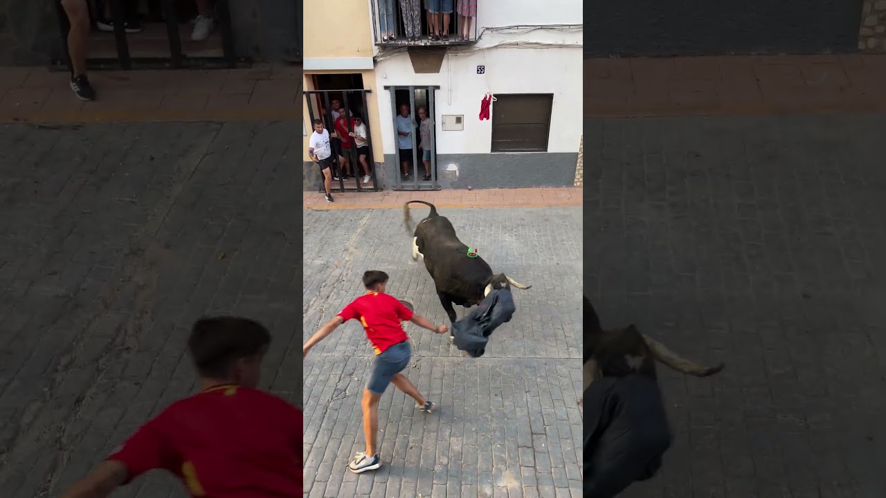 &iexcl;Toro cerril en Useras! (&iexcl;Espectacular!) #toros #useres #bull #toro