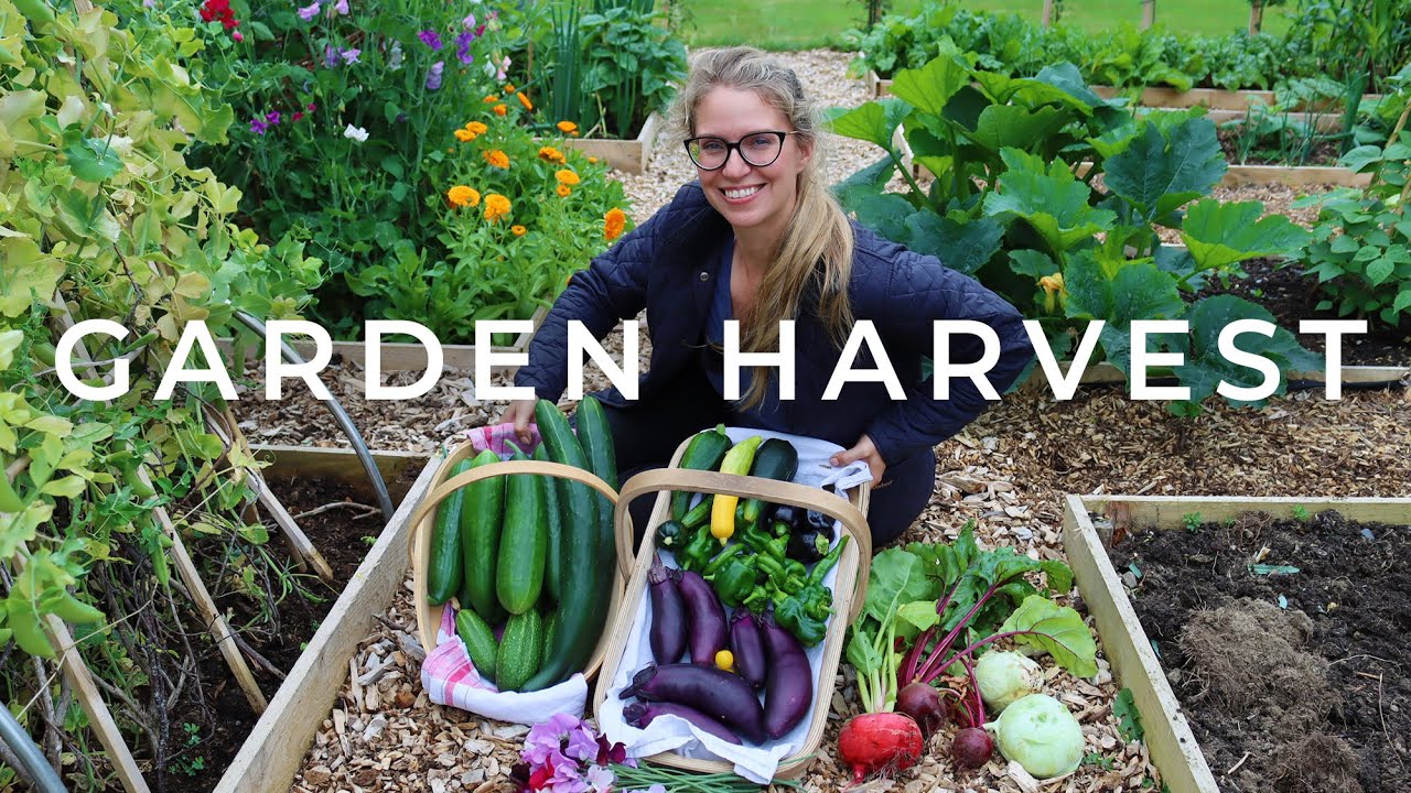 Come Along for a July Garden Harvest