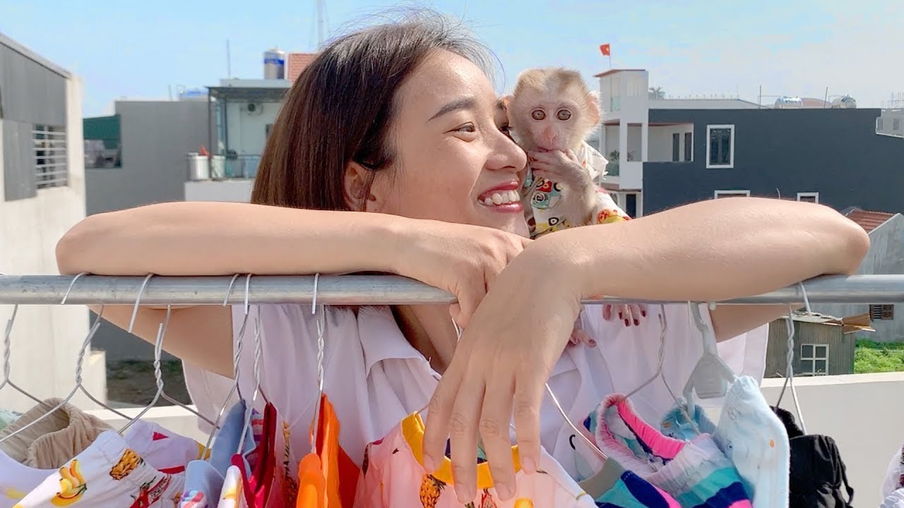 Monkey Puka helps mom hang clothes, so much fun