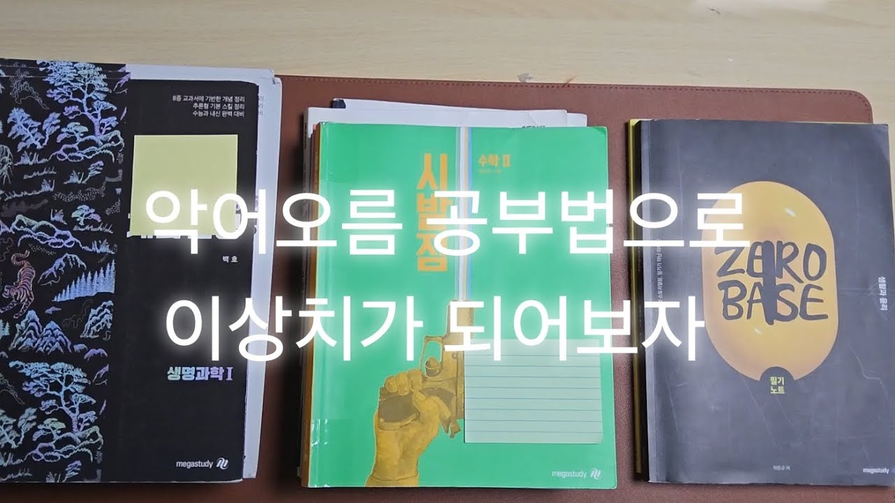 악어오름 공부법으로 이상치가 되어보자 #08 #정시파이터 #악어오름 #2027수능 # 허수#정시 