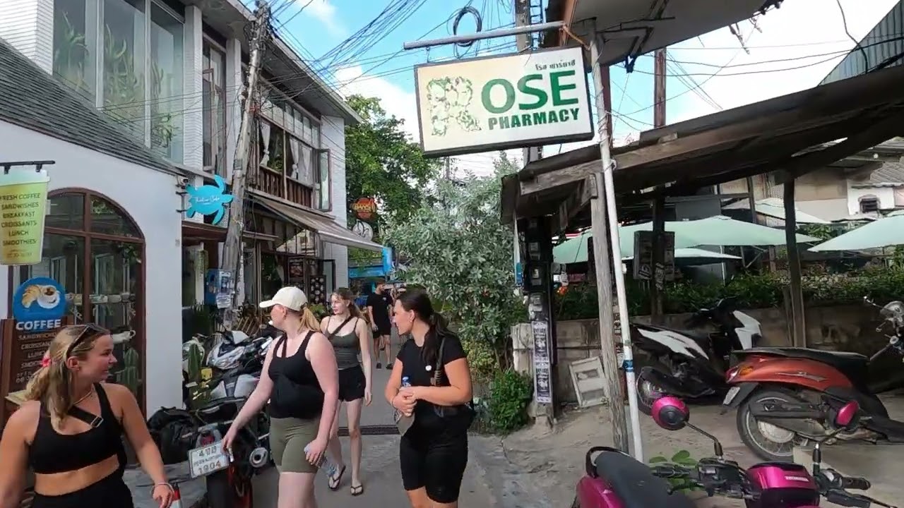 Thailand Koh Tao – Ich wollte nur kurz bleiben… jetzt will ich nie wieder weg! 🐢