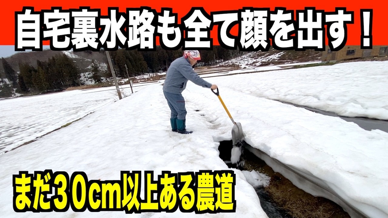 【ドボン】家の裏の水路を完全に出す！2026-03-31（火）武七の除雪・雪かき日記　dobon snowremoval snowplow ASMR