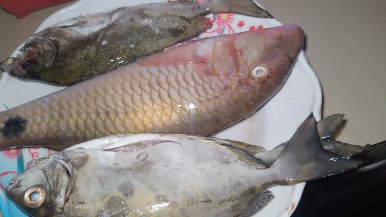 My favorite Ulam inihaw na isda🐟 #satisfying #lunchtime #fish