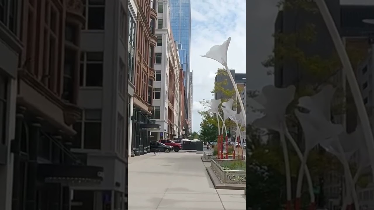 A Walk Down Woodward Avenue #detroit #shorts #woodward