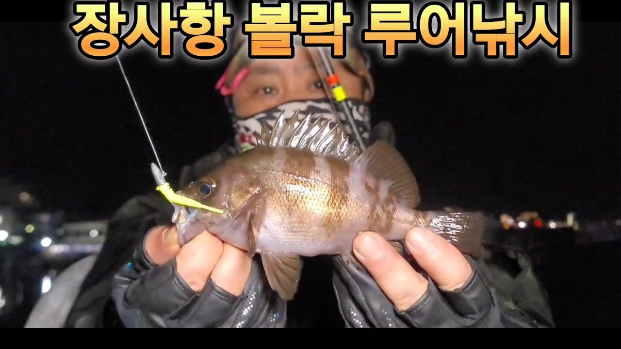 속초 장사항 볼락 루어낚시 2025년10월31일