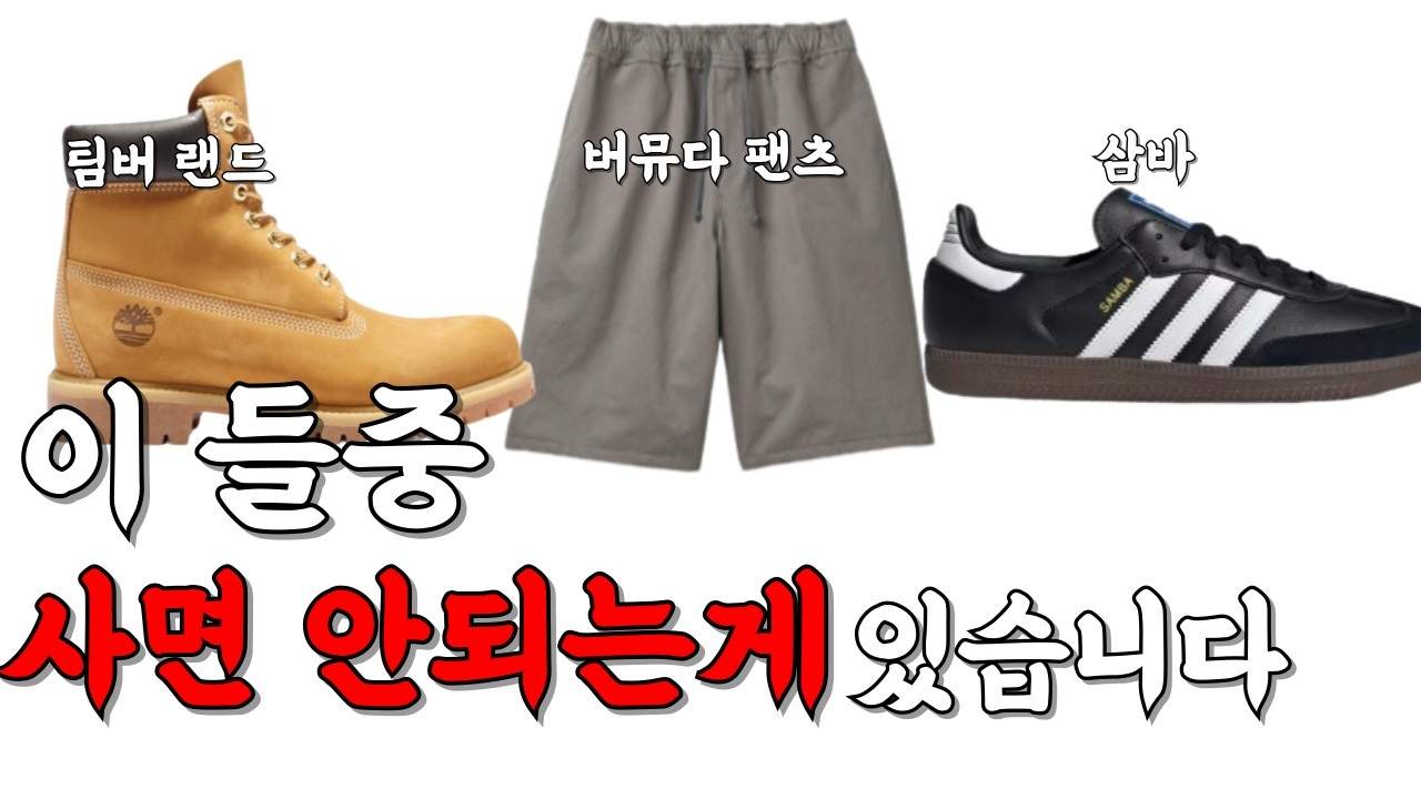 지금 살지 말지 딱 정해드립니다 (2025 여름버전)