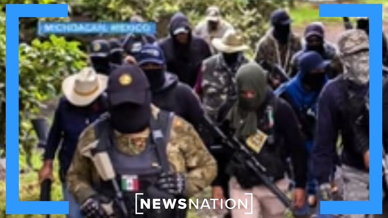 Ariz. Sheriff: Cartels have 'structure' to control border | NewsNation Live