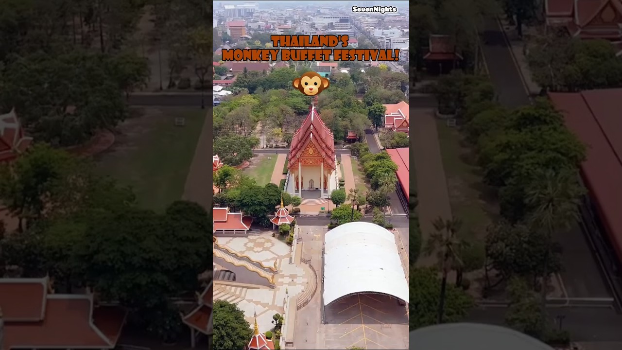 Thailand's Monkey Buffet Festival! 