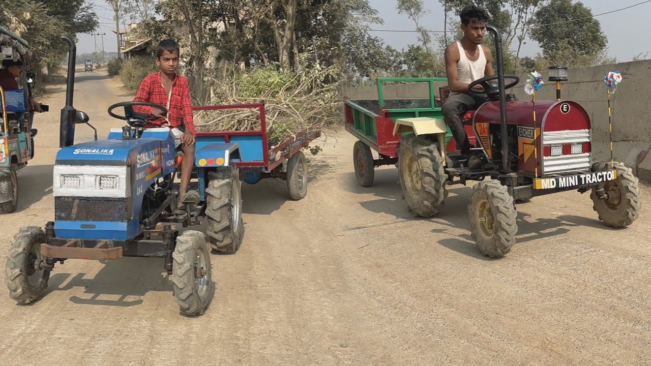 Sonalika Brought One Small Trees From the Tractor | Eicher Tractor | Tractor video 
