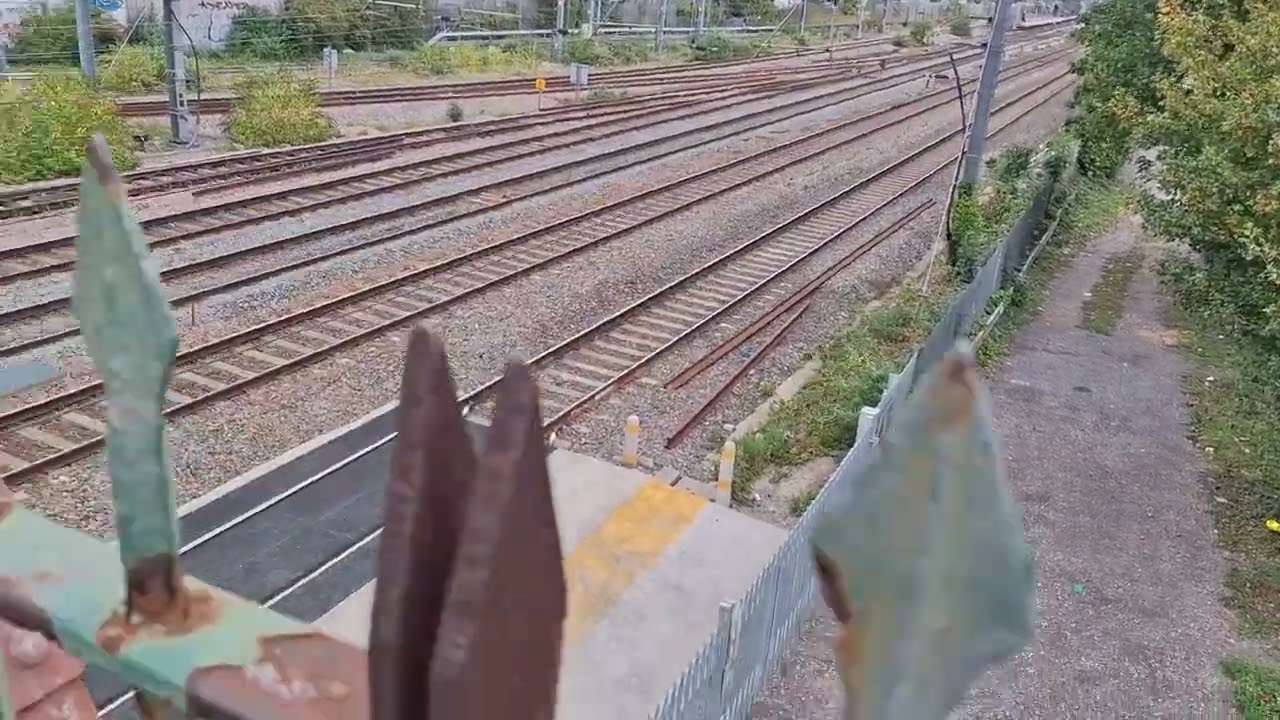 Trains At West Ealing (Jacob's Ladder Footbridge) - GWML - 20.09.2025