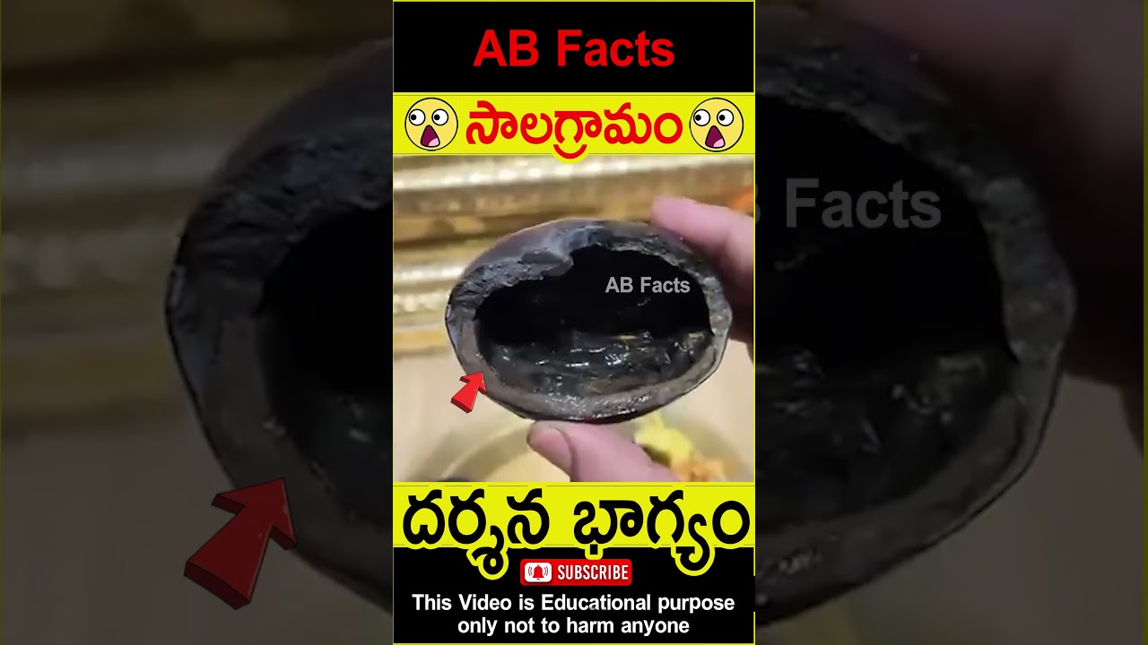🙏సాలగ్రామం🙏 Mahavishnu roopam in shaligram #telugufacts #vishnupuran #shorts #youtubeshorts #abfacts