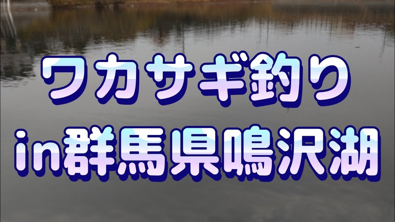 【ワカサギ釣り】ワカサギが釣れた想像していなかったポイント【群馬県鳴沢湖】