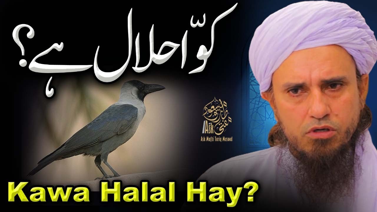 Kawa Halal Hay | Ask Mufti Tariq Masood