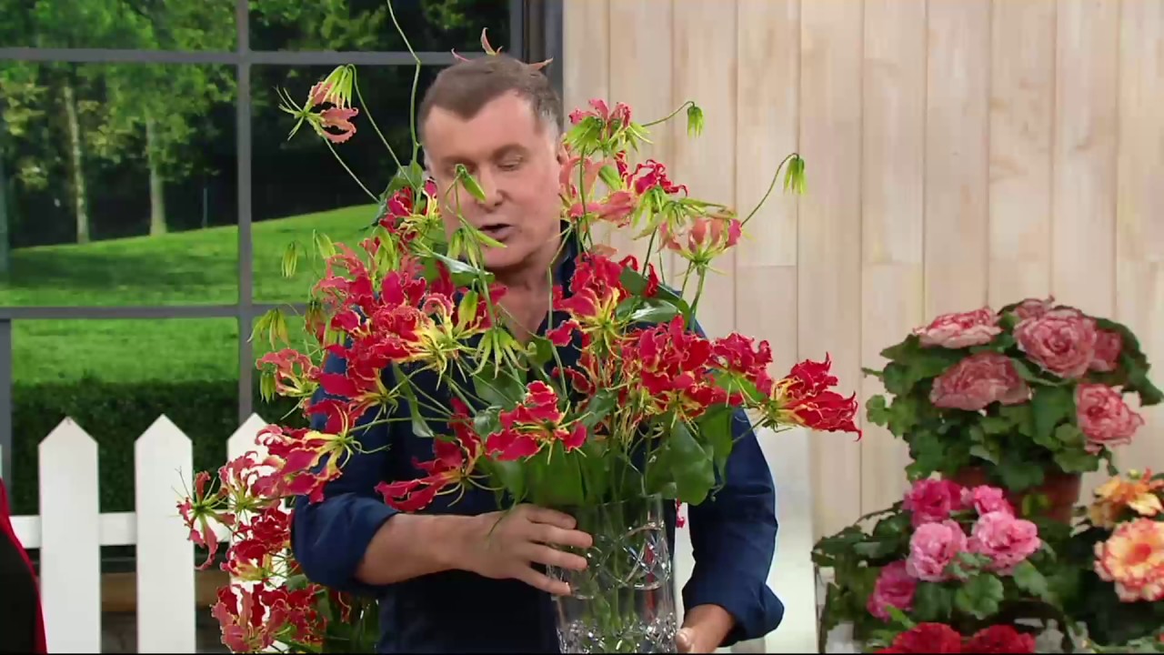 Roberta's 4-piece Gloriosa Climbing Lilies on QVC