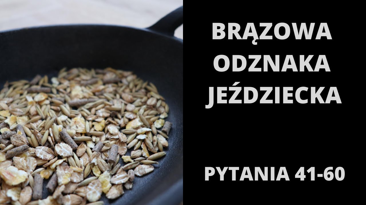 Brązowa Odznaka Jeździecka - pytania i odpowiedzi 41-60 [2022]