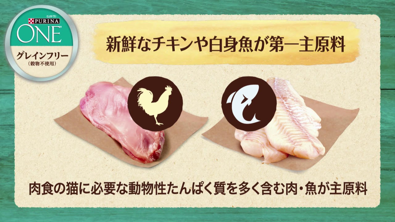 「ピュリナ ワン グレインフリー」新製品紹介