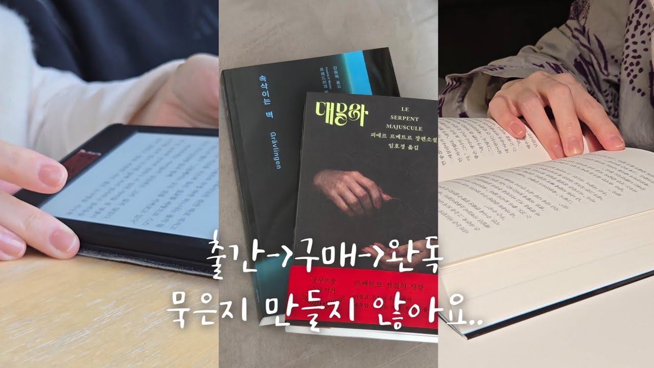 신간 사서 바로 읽기 ✨ 영상 업데이트에 관한 공지🤍